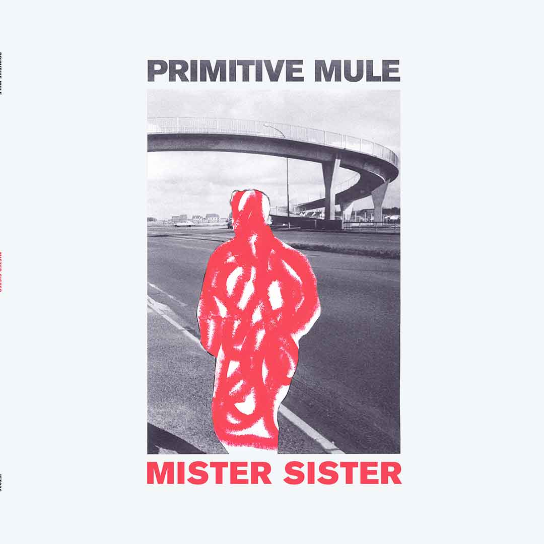 Primitive Mule - Mister Sister